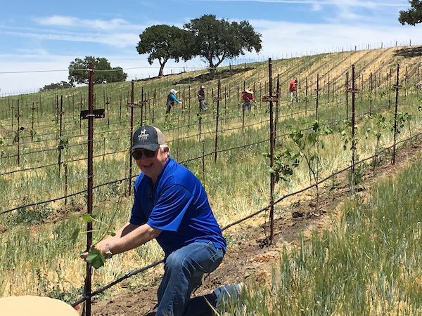 Jim Saunders from Hearst Ranch Winery