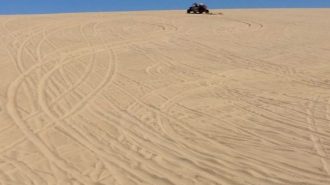 oceano dunes