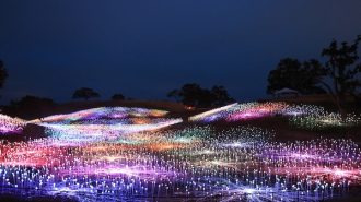 Sensorio field of lights Paso Robles