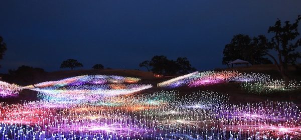 Sensorio field of lights Paso Robles