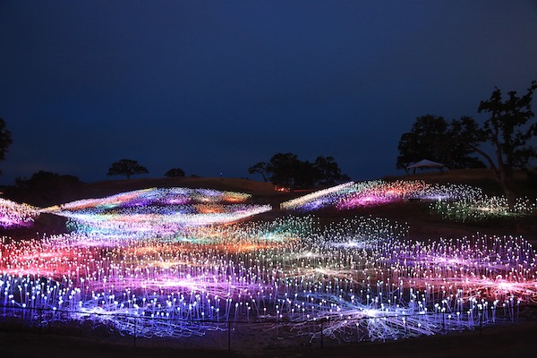 Sensorio field of lights Paso Robles