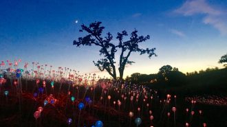 sensorio 4th of july