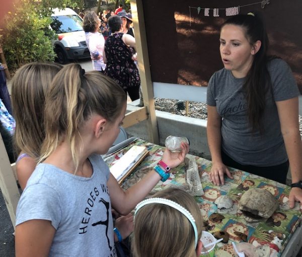 Hundreds attend Ice Cream Zoofari at Charles Paddock