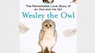 Wesley the Owl by Stacey O’Brien October’s 'Good Read' at the library