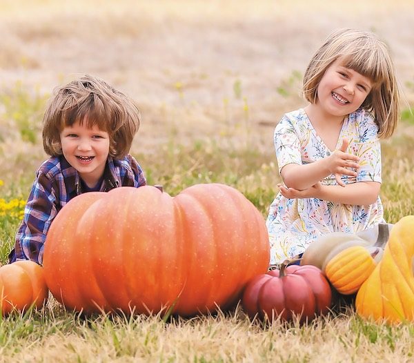 fall family fun fest Paso Robles