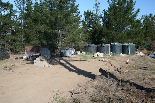 grow op cambria