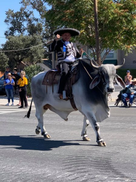 award winners at Pioneer Day Parade Paso Robles