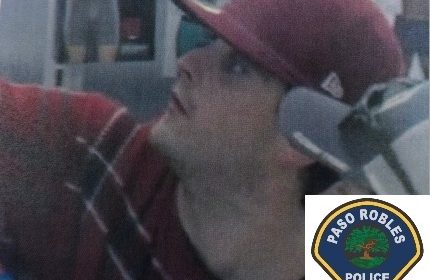 Police seek help identifying video game thief