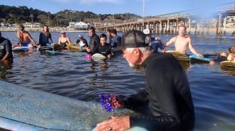 Surfing for hope