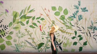 new mural in paso robles at Piccolo