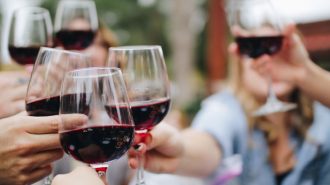best zinfandel in paso robles