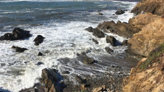 cambria directory and guide