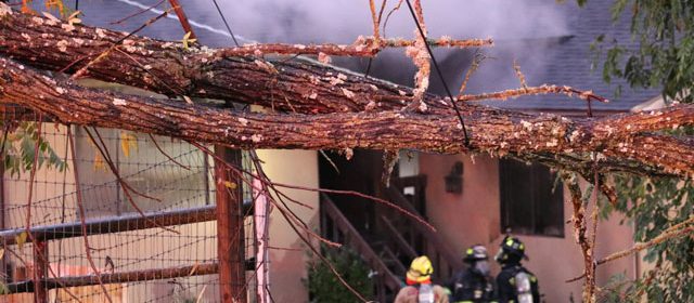 atascadero house fire from tree