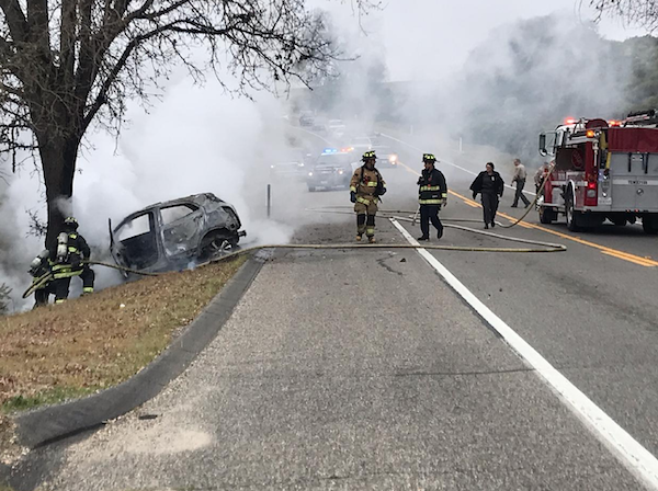 Driver drifts from road, collides with tree