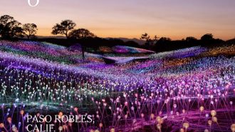 paso robles new york times