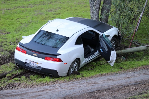 Stolen vehicle purs