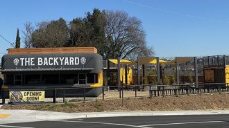 Backyard Beer Garden
