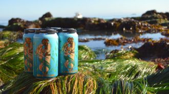 Kelsey See Canyon hard cider