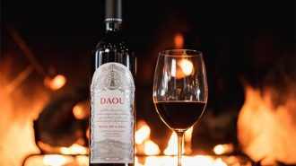 Soul of lion - daou new wine