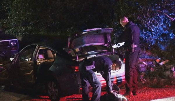 Suspect arrested for auto theft, being under the influence of narcotics, other charges