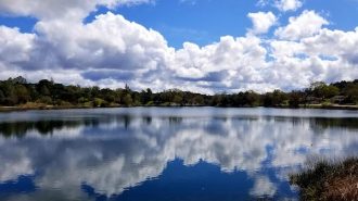 Atascadero LakeFest, Children's Day in the Park will return July 18