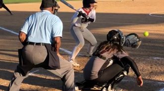 Bearcat softball
