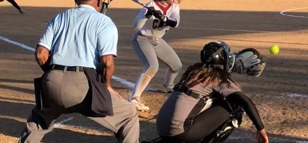Bearcat softball