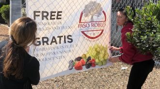 North County schools implement drive-through lunch programs to help families
