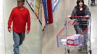 theft suspects
