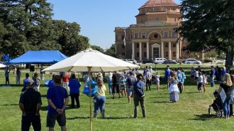 World Day Against Human Trafficking