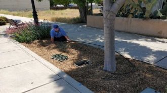 landscaping