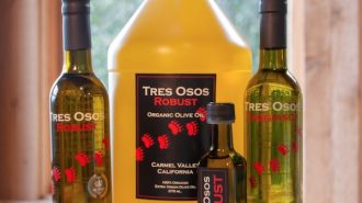 tres osos