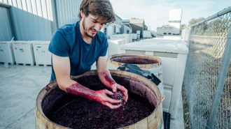 Drew-Nenow-winery