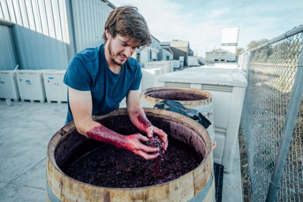 Drew-Nenow-winery