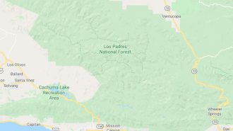 Los-Padres-National-Forest