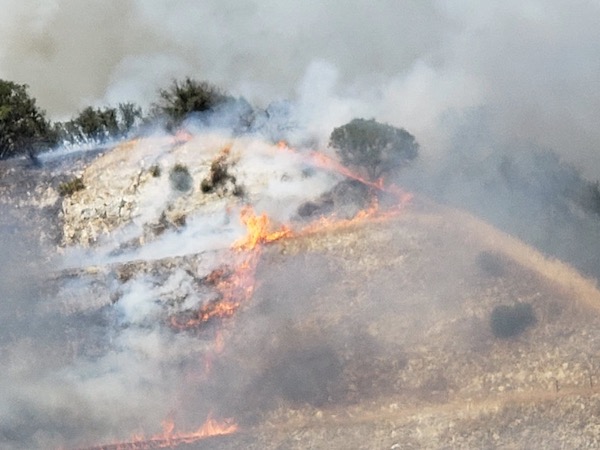 Photo by Laurie Bryant.