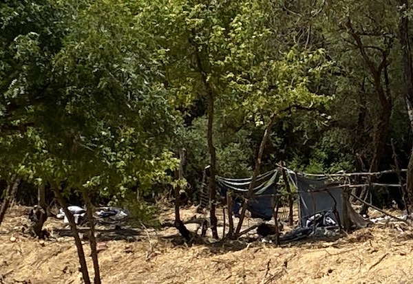 Homeless camps in the Salinas Riverbed.