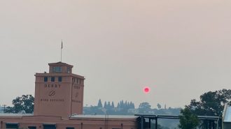 red sun paso robles