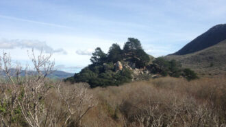 Morro-Bay-State-Park
