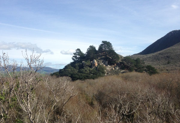 Morro-Bay-State-Park