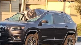 Fatal accident reported on Highway 101 Thursday
