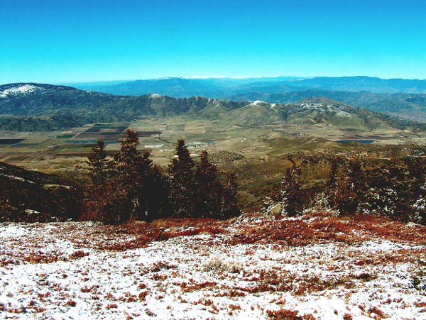 Tehachapi AVA