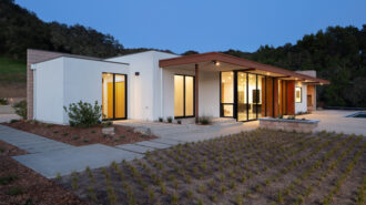 Madrone Landscape