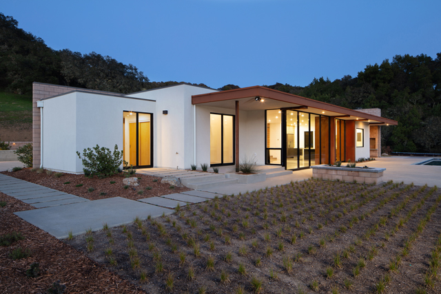 Madrone Landscape