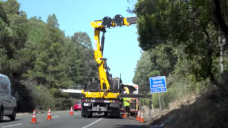 New-tree-removel-tech
