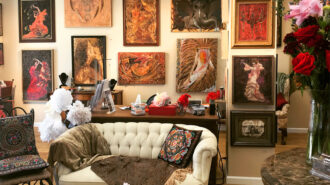 Deprise-Brescia-Art-Gallery