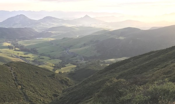 The Community Foundation welcomes three new board members