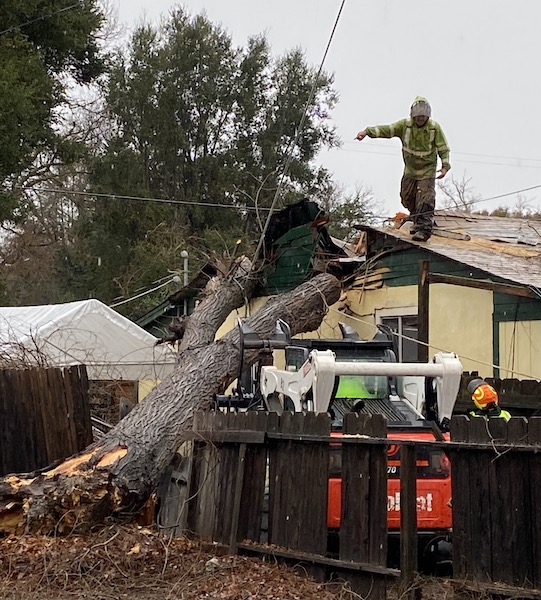 Tree hits neighbor's house at 5410 Capistrano
