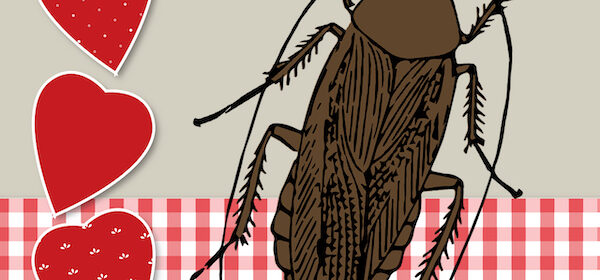 Chales Paddock Zoo presenting 'Adopt-a-Cockroach' Valentines