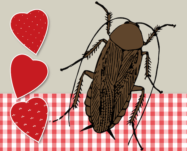 Chales Paddock Zoo presenting 'Adopt-a-Cockroach' Valentines